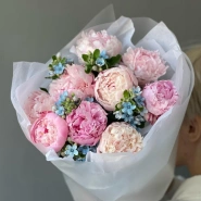 Букет «Surfingbird» / 9 пион Sarah Bernard-оксипеталум 0