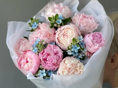 Букет «Surfingbird» / 9 пион Sarah Bernard-оксипеталум