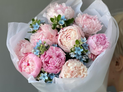 Букет «Surfingbird» / 9 пион Sarah Bernard-оксипеталум