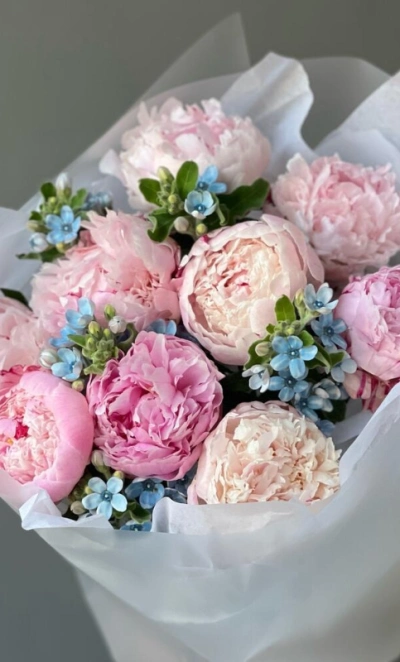 Букет «Surfingbird» / 9 пион Sarah Bernard-оксипеталум