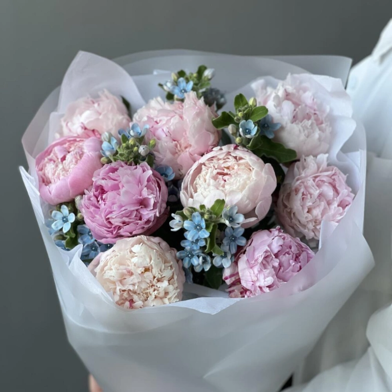 Букет «Surfingbird» / 9 пион Sarah Bernard-оксипеталум