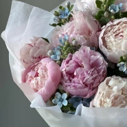 Букет «Surfingbird» / 9 пион Sarah Bernard-оксипеталум 3