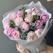 Букет «Пиокси» / 15 пион Sarah Bernard-оксипеталум 2