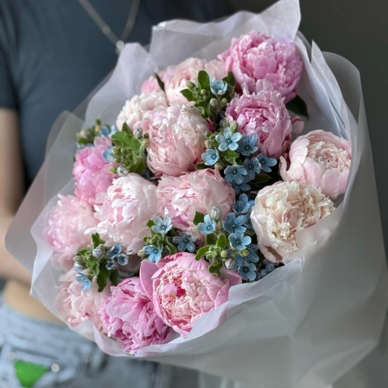 Букет «Пиокси» / 15 пион Sarah Bernard-оксипеталум