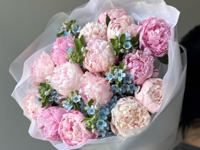 Букет «Пиокси» / 15 пион Sarah Bernard-оксипеталум