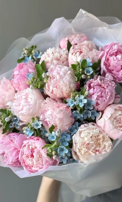 Букет «Пиокси» / 15 пион Sarah Bernard-оксипеталум