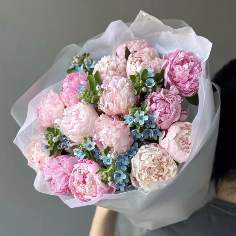 Букет «Пиокси» / 15 пион Sarah Bernard-оксипеталум