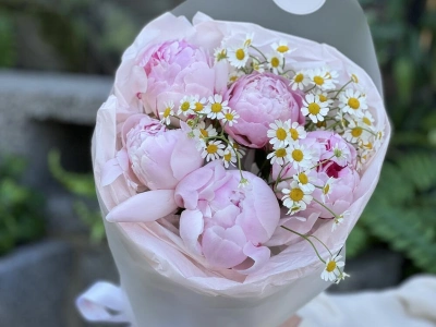 Пионы Сара Бернар и ромашка танацетум