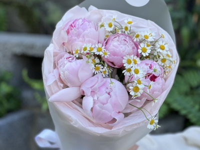 Пионы Сара Бернар и ромашка танацетум