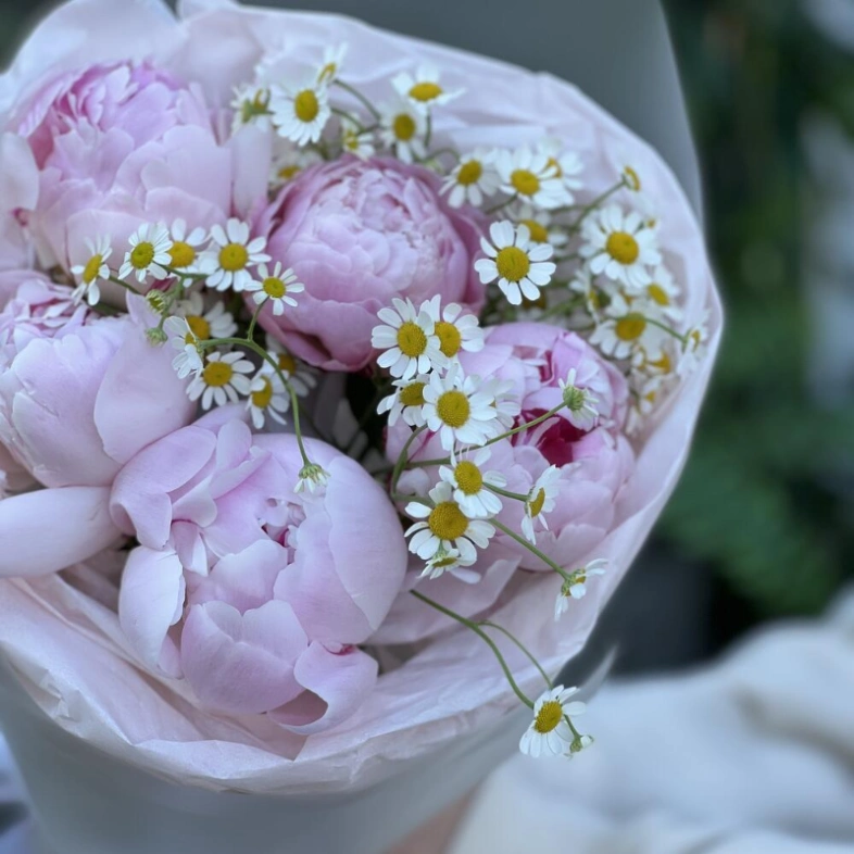 Пионы Сара Бернар и ромашка танацетум