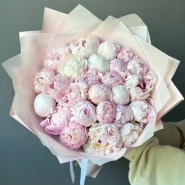 25 пионов Сара Бернар 0