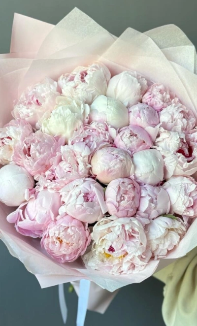 25 пионов Сара Бернар