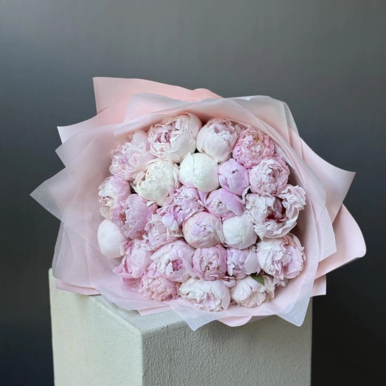 25 пионов Сара Бернар