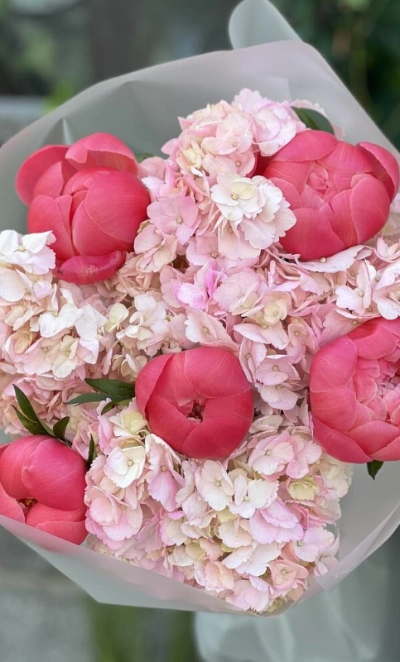 Пионы и гортензии «Очарование»