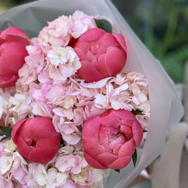 Пионы и гортензии «Очарование»