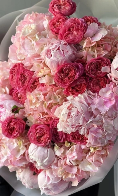 Гортензия, пионы, кустовые розы