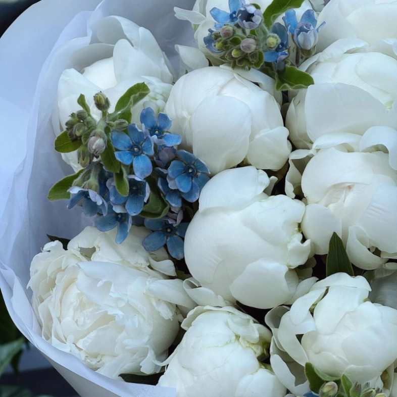 Букет «Пиокси 2.0» | белые пионы 17 - незабудки