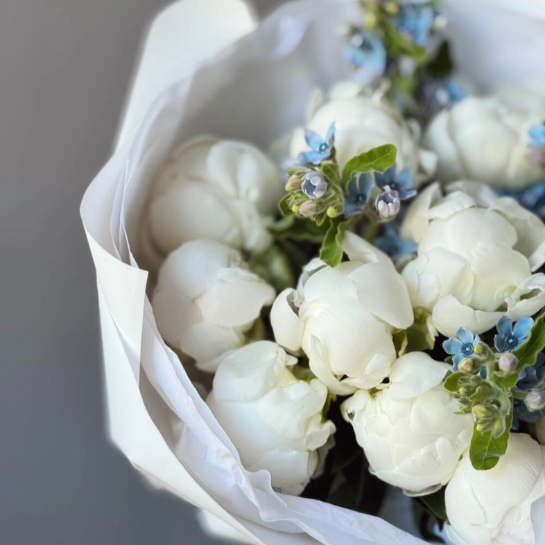 Букет «Пиокси 3.0» | пион белый 11 - незабудка