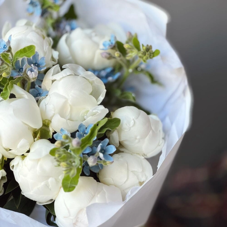 Букет «Пиокси 3.0» | пион белый 11 - незабудка