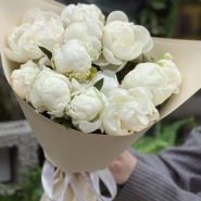 Белоснежные пионы 11 4