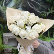 Белоснежные пионы 11 3