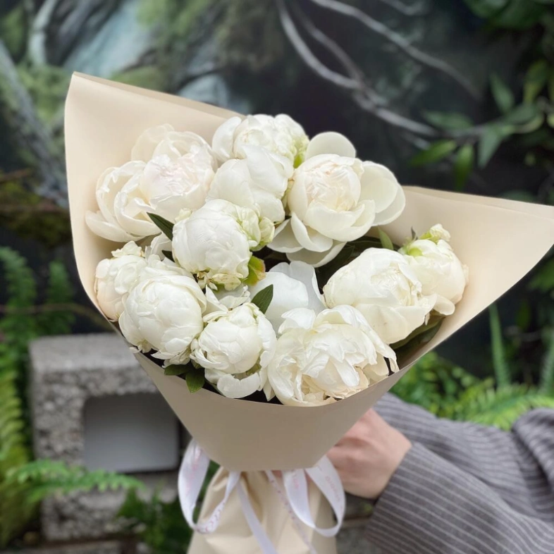 Белоснежные пионы 11