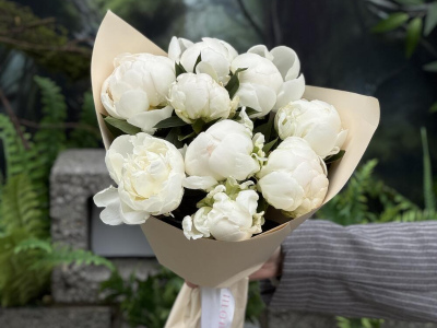 Белоснежные пионы 9