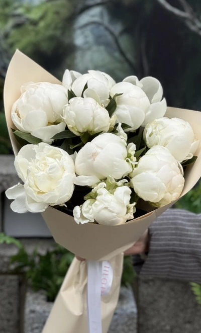 Белоснежные пионы 9