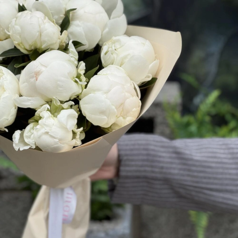 Белоснежные пионы 9