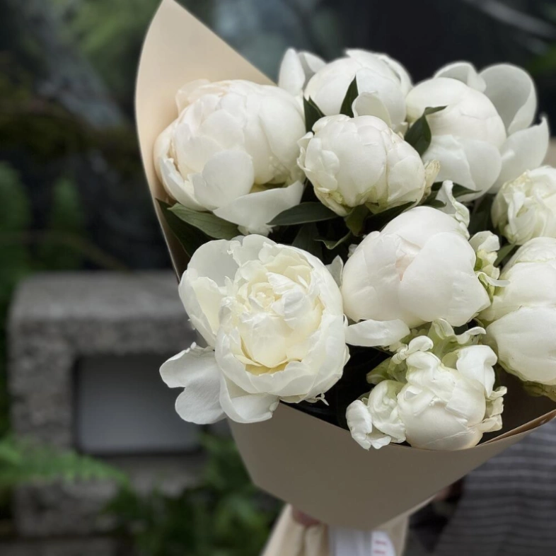 Белоснежные пионы 9