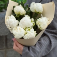 Белоснежные пионы 7 3