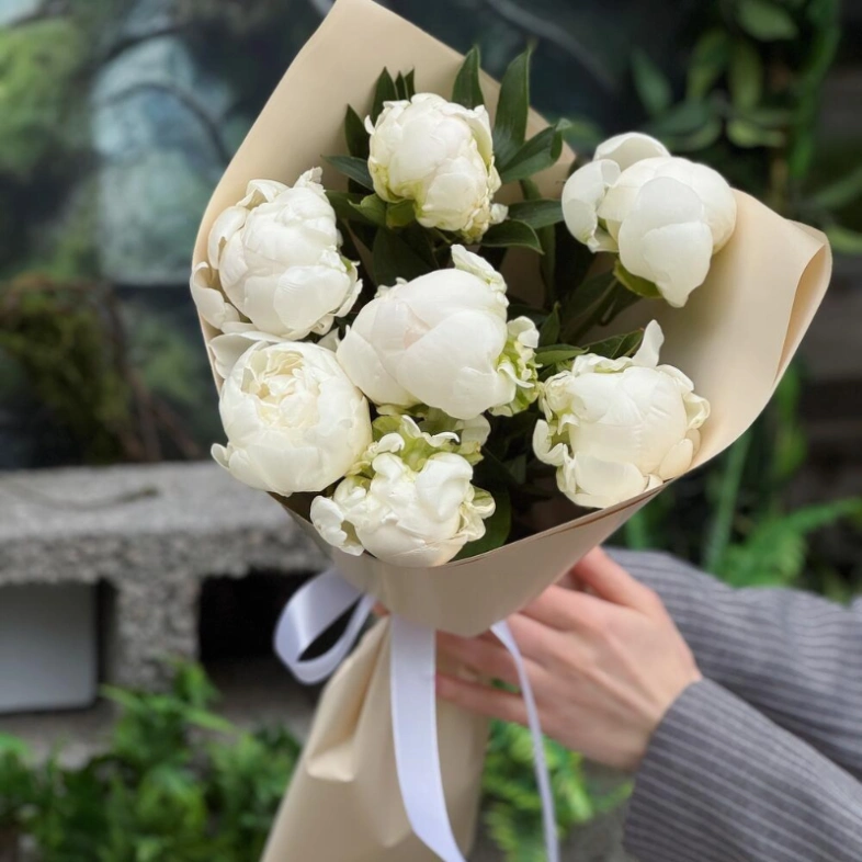 Белоснежные пионы 7