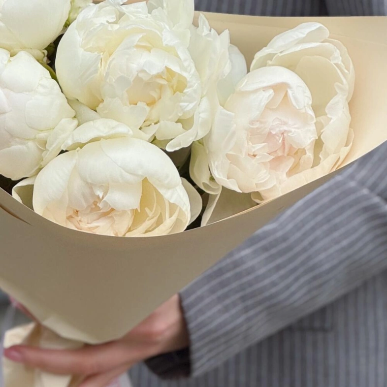 Белоснежные пионы 5