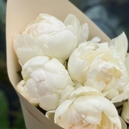 Белоснежные пионы 5 3