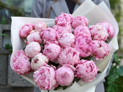 Пионы Сара 21