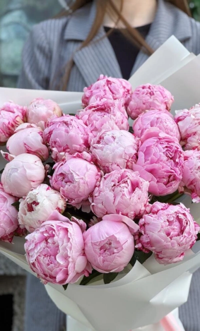 Пионы Сара 21