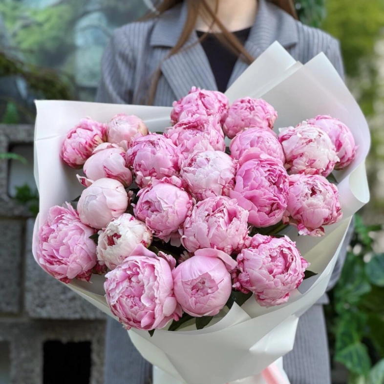 Пионы Сара 21