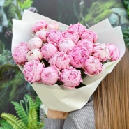 Пионы Сара 21 1