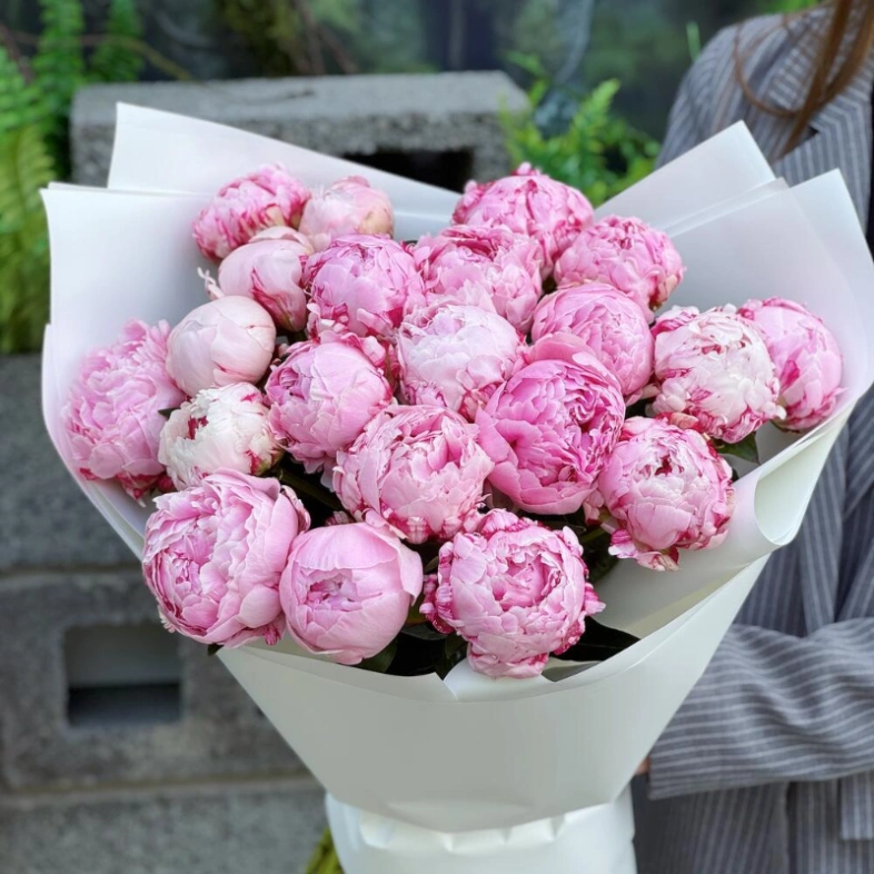 Пионы Сара 21