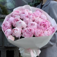 Пионы Сара Бернар 25 0