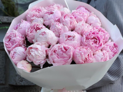 Пионы Сара Бернар 25