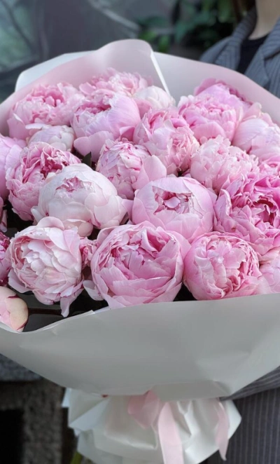 Пионы Сара Бернар 25