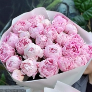 Пионы Сара Бернар 25 2