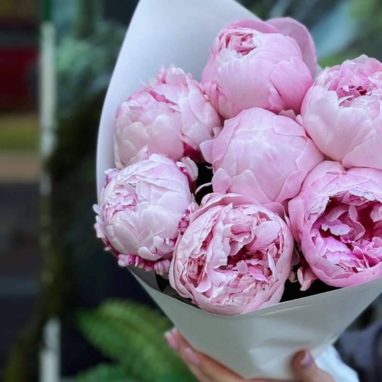 Букет «Сара Бернар» | пионы 7