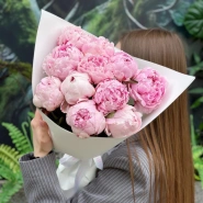 Пионы Сара Бернар 11 1