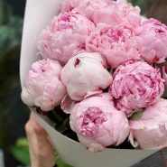 Пионы Сара Бернар 11 3