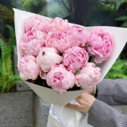 Пионы Сара Бернар 11 0