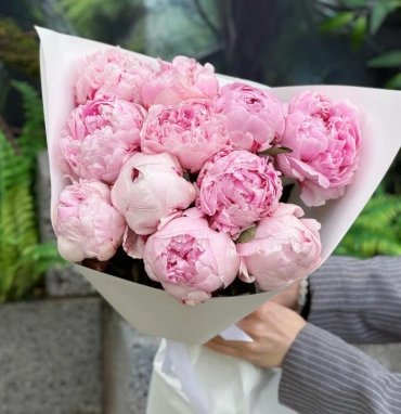 Пионы Сара Бернар 11