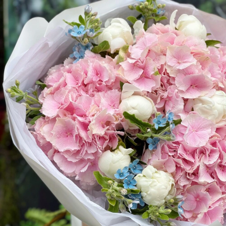 Пионы, гортензии и незабудки