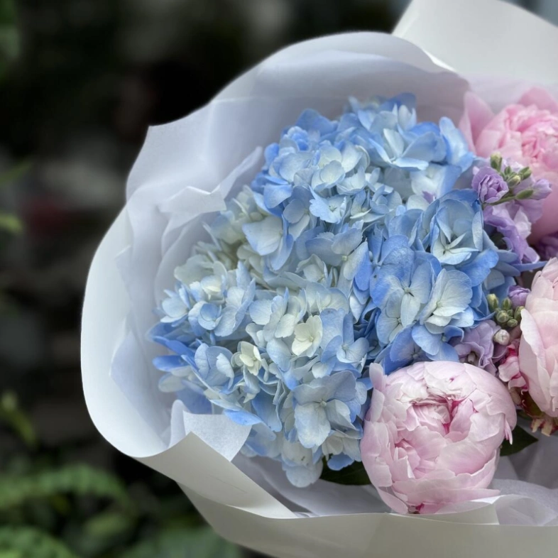 Букет «А это облачко на что похоже?» | пион Сара Бернар - гортензия - маттиола